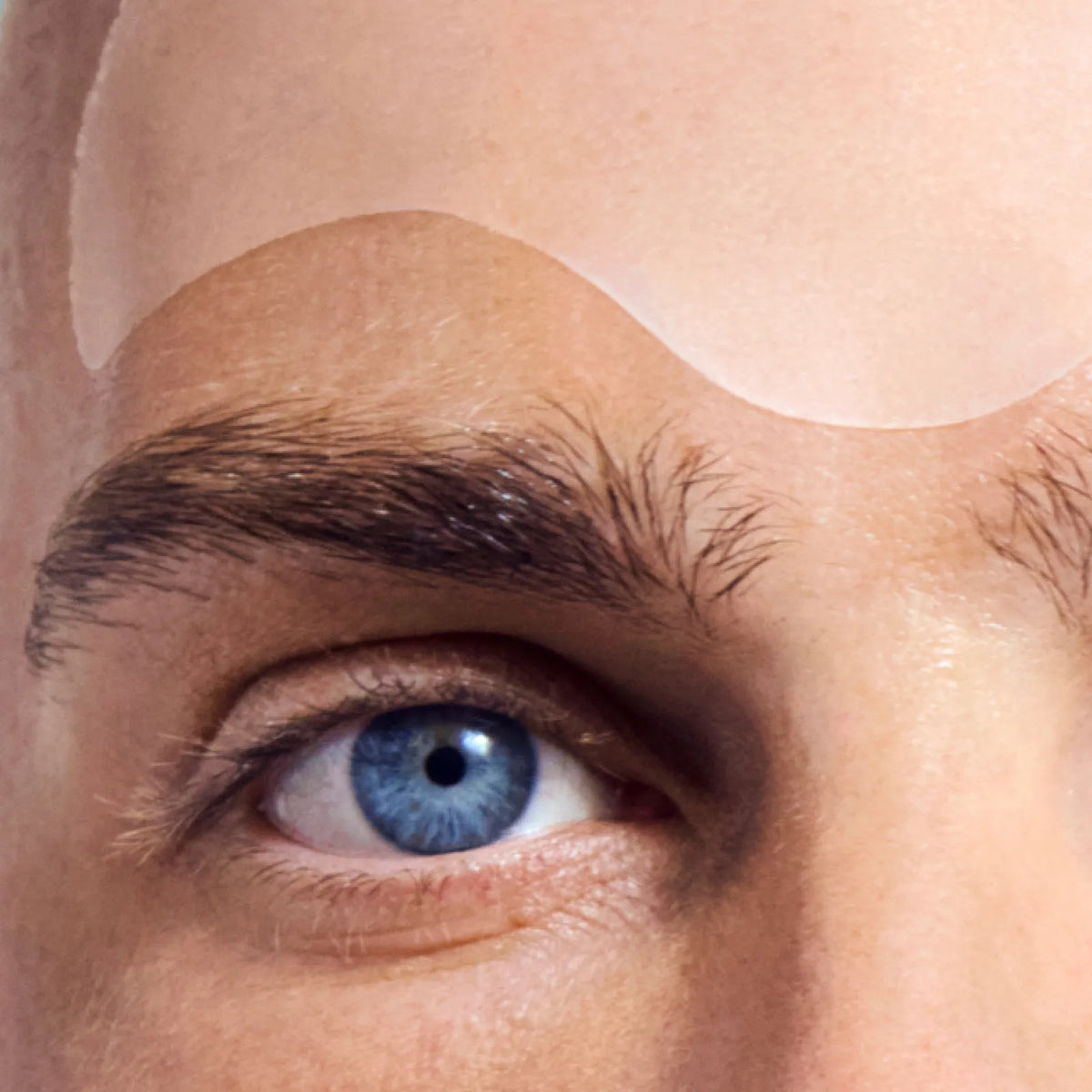 about-model-close-up.webp